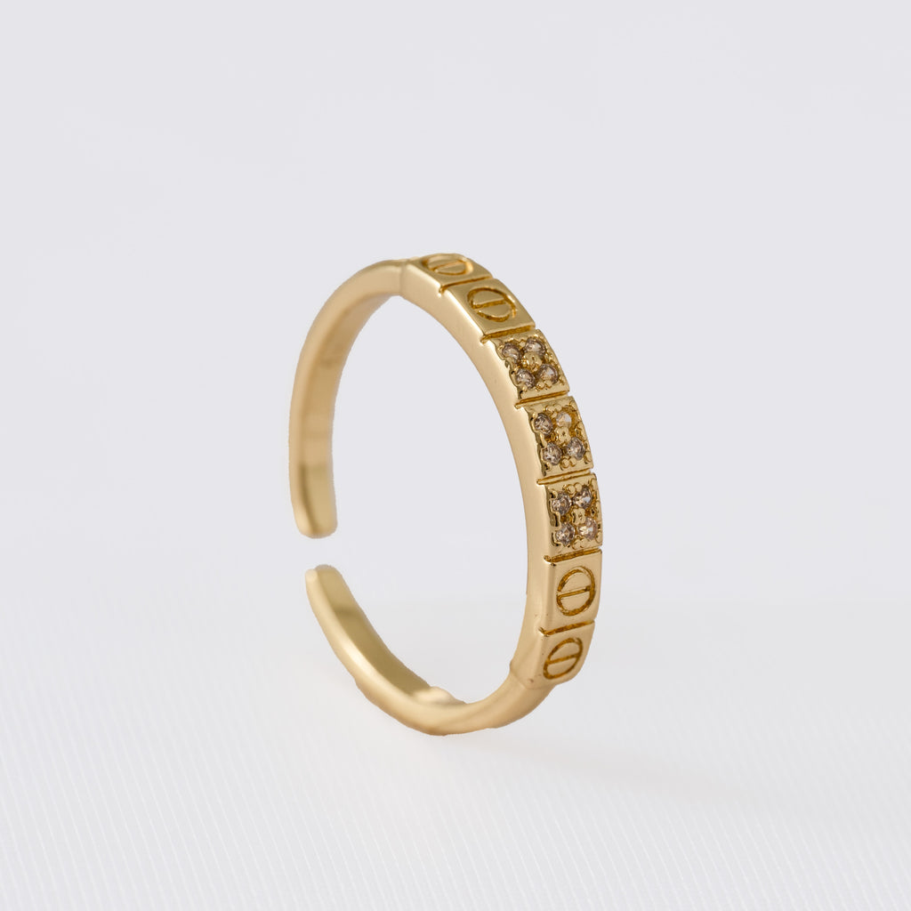 Reino — anillo